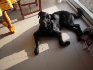 Photo de Assia