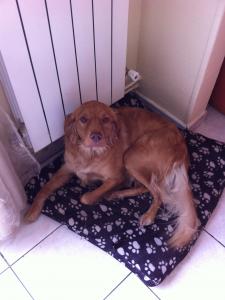 Photo de bimba