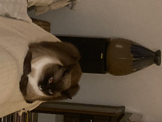 Photo de pablo