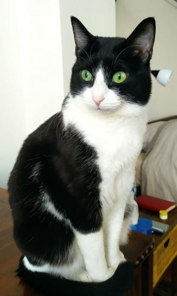 Photo de Miko