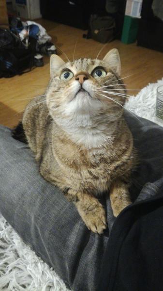 Lily