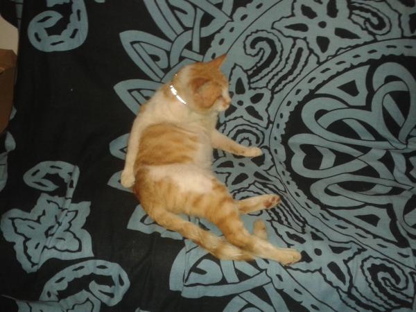 titinou