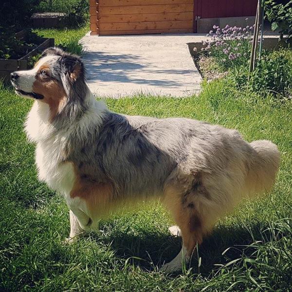 Photo de Maeko