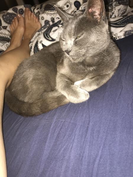 Kitty