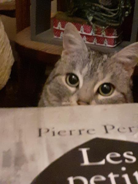 Mimie