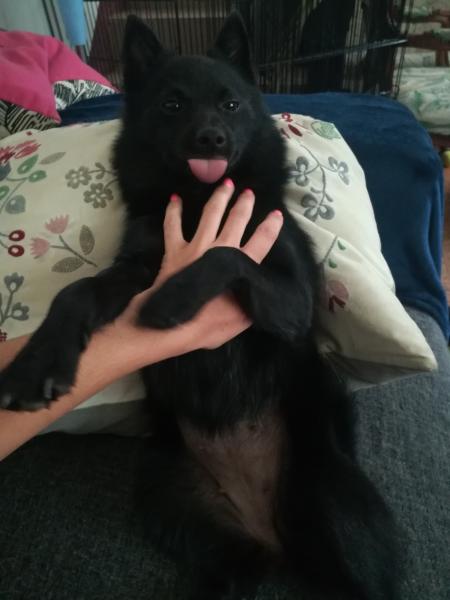 Lilou