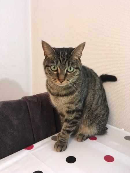 Photo de Luna