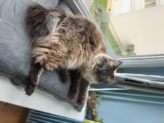 Nell