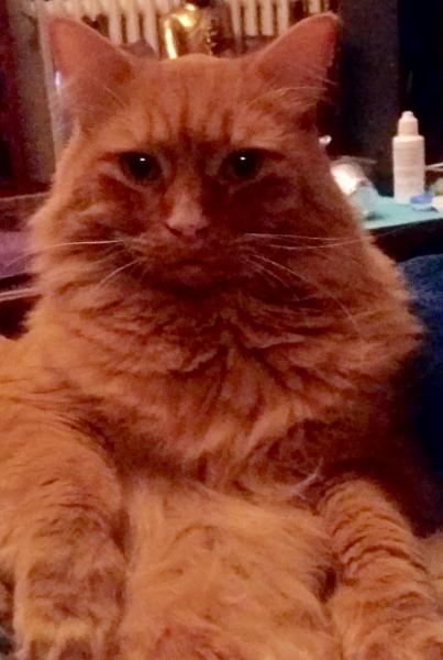 Caramel