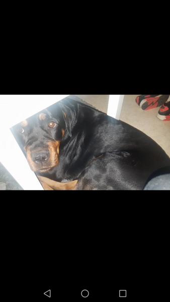 Kayna