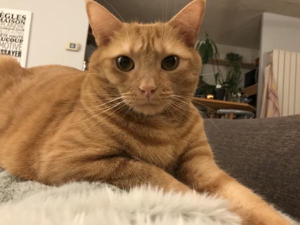 Léo 
