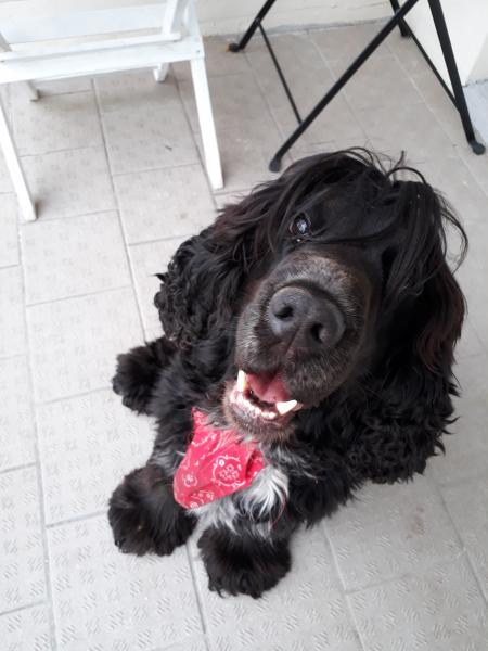 Photo de JAZZ