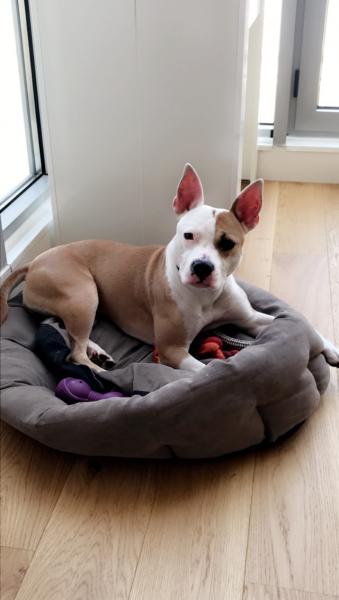 Nala 