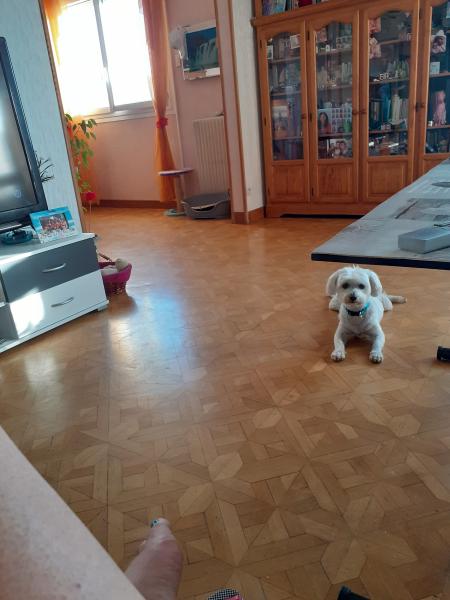 Photo de Phoebe