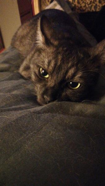 Smoky