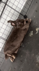 Milka