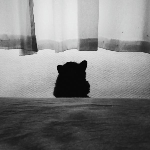 Gatsby