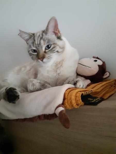 Photo de Aqua