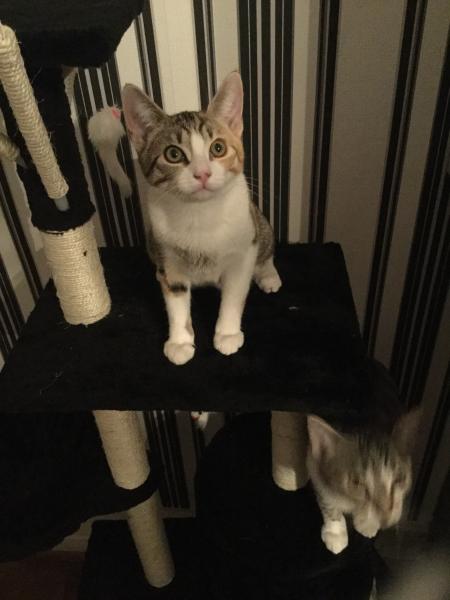 Photo de Perle