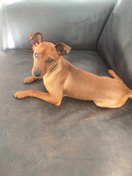 Max