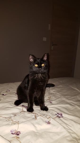 Photo de Mignonne