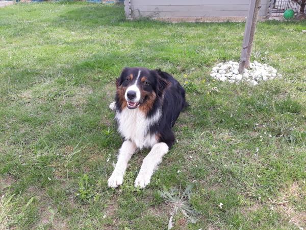 Pawaï