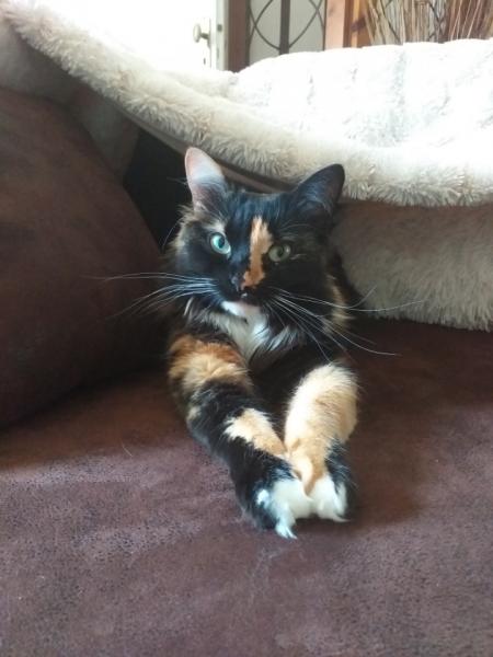 Lili