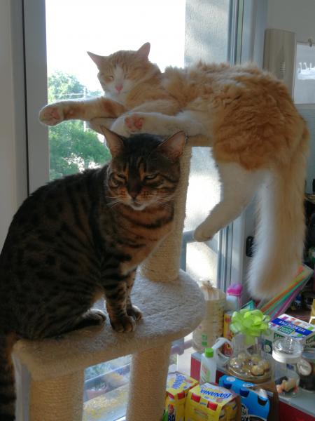 Photo de Jackpot