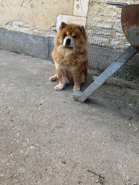 Dooly