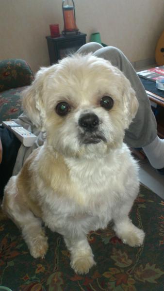 BALOU