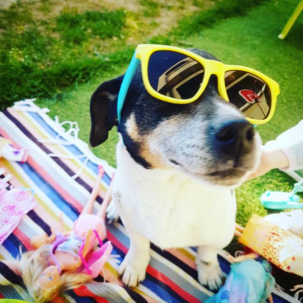 Photo de Cooper