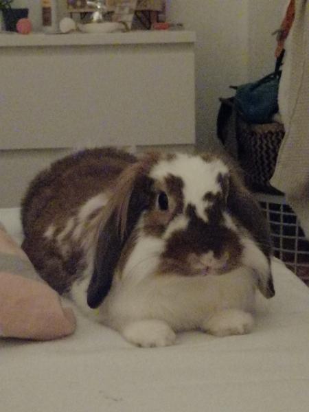 Leroy