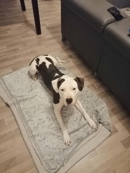 Coco