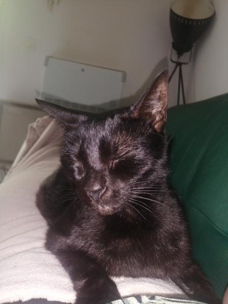 Mimi