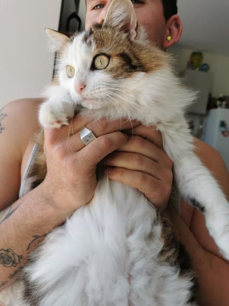Bella