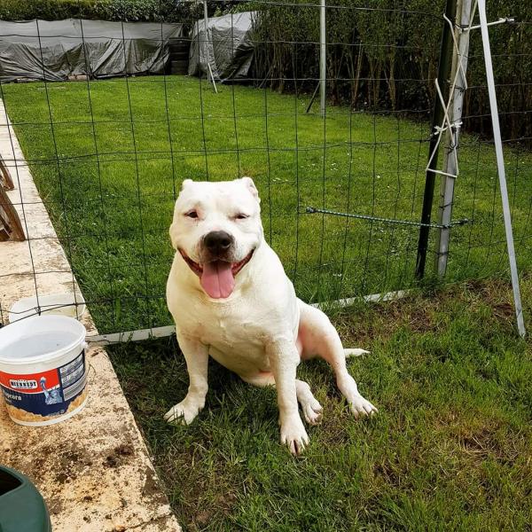 Zeus