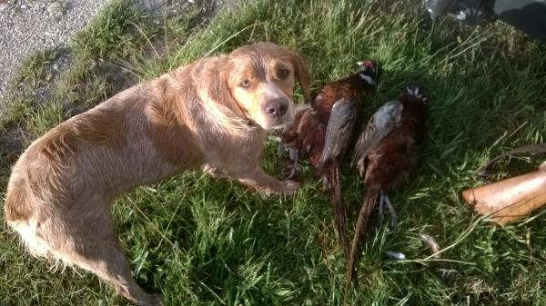 jira