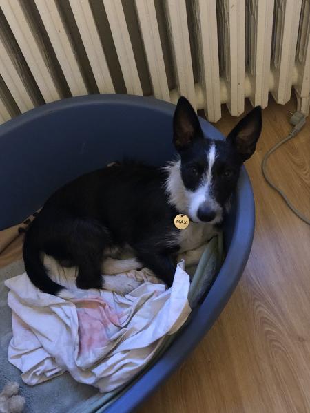 Max