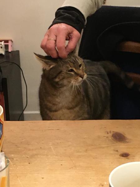 Bunyette