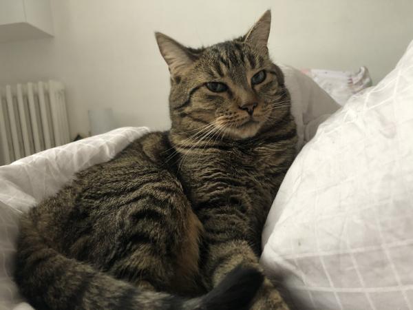 Photo de Pepito