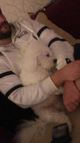 Oscar