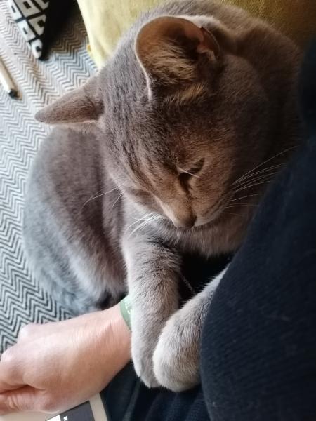 Photo de Maido