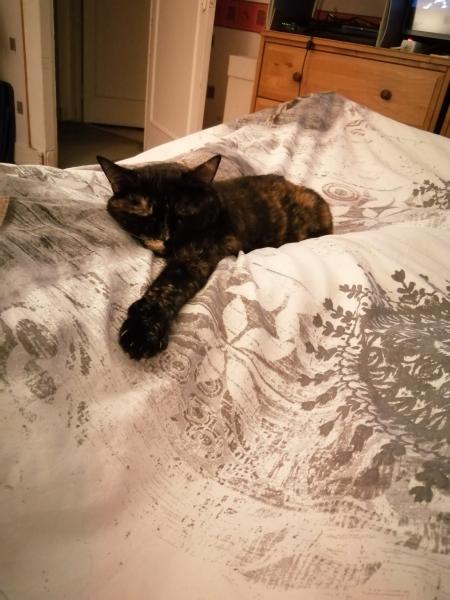 Photo de Zoé