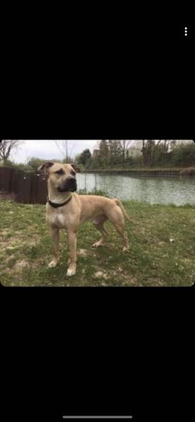 Thug