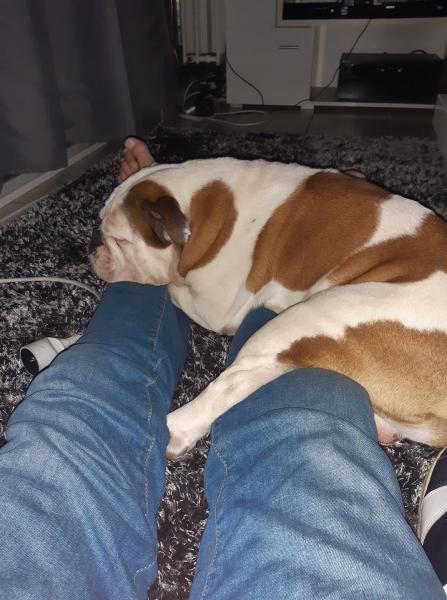 BOOBA