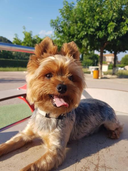 Photo de Lucky