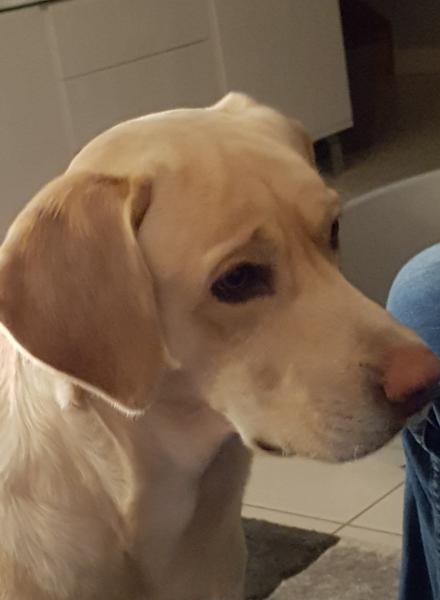 Oskar
