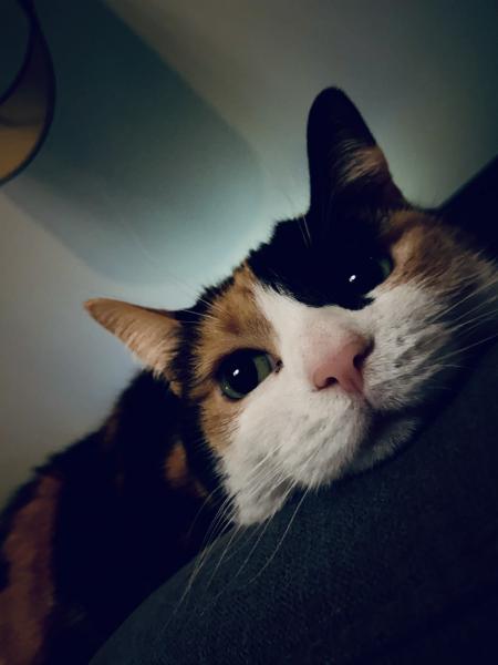 Chanou