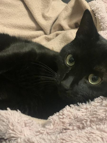 Salem