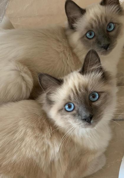 Photo de Jony